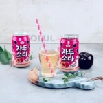 https://tolulabox.com.br/-refrigerante-ameixa