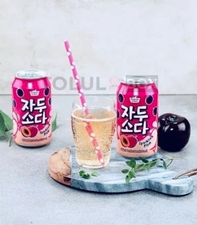 https://tolulabox.com.br/-refrigerante-ameixa